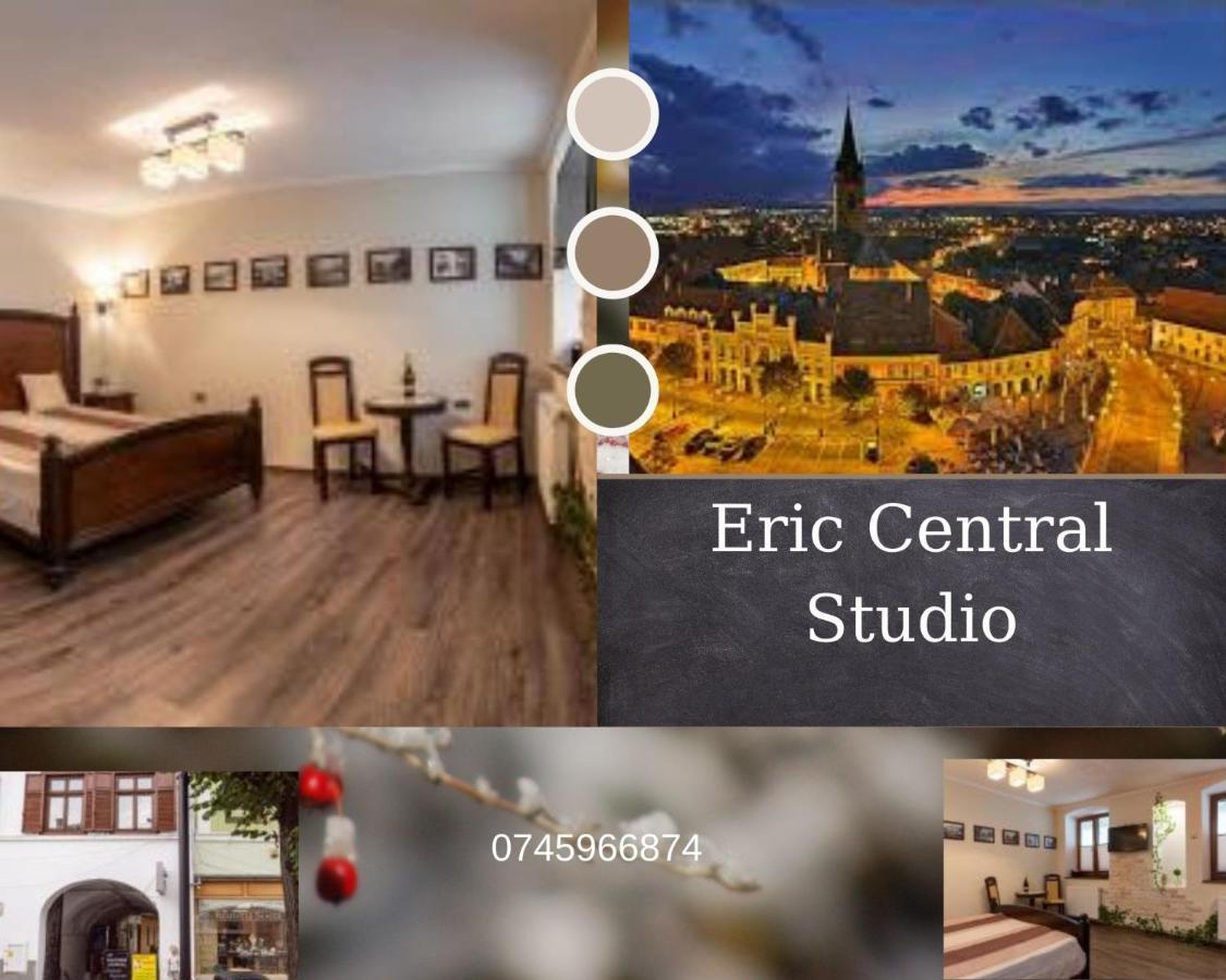 Eric Central Studio Sibiu Exterior foto